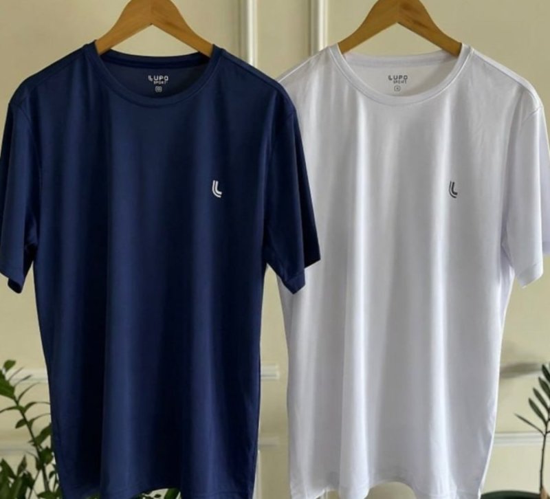Kit 2 Camiseta Dry Masculina Fit Lupo Básica Academia