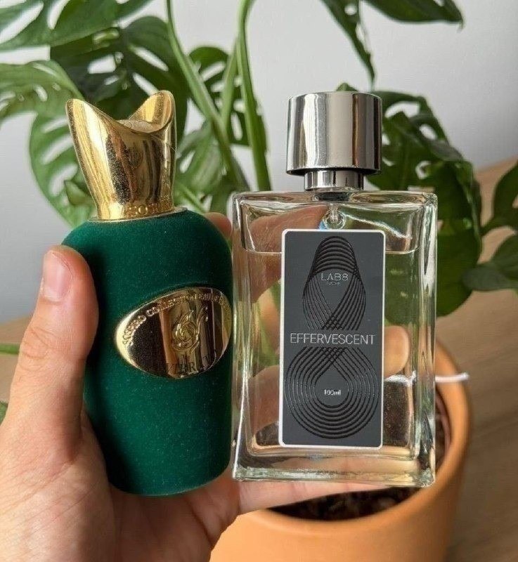 Perfume Effervescent 100ml - Lab8 / Fluy - Perfumaria De Nicho - Alta Fixação