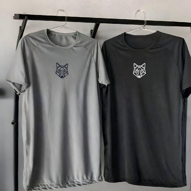 Kit 2 Camisetas Masculina Dry Alpha