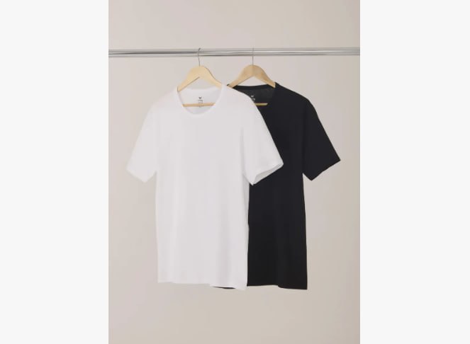 Kit Com 2 Camisetas Masculinas Básicas Slim Hering