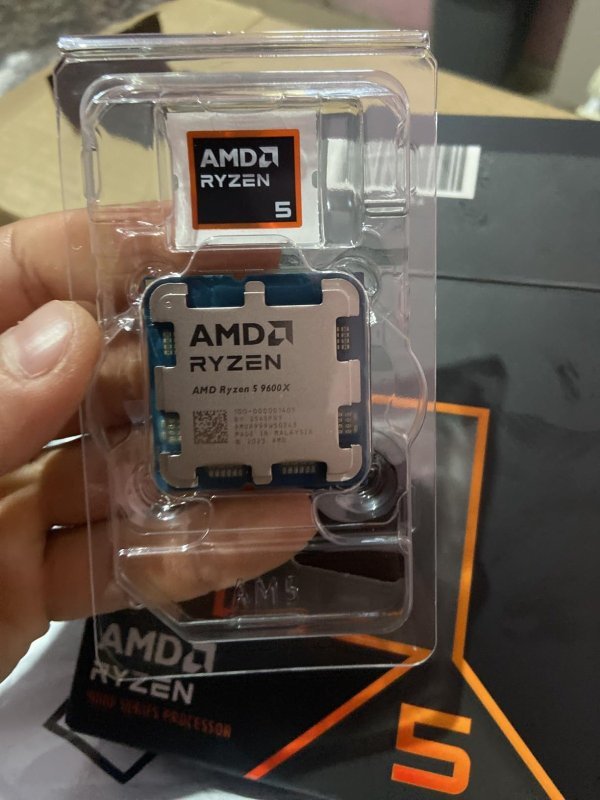 Processador AMD Ryzen 5 9600X Box (AM5/ 6 Cores/ 12 Threads/ 5.4GHz/ 38MB Cache/Radeon Graphics/Sem Cooler)