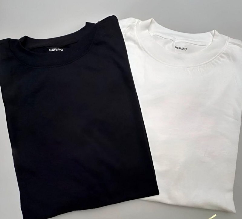 Kit Com 2 Camisetas Masculinas Básicas Relaxed Hering