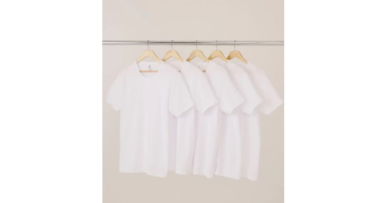Kit Com 5 Camisetas Masculinas Básicas Slim Hering