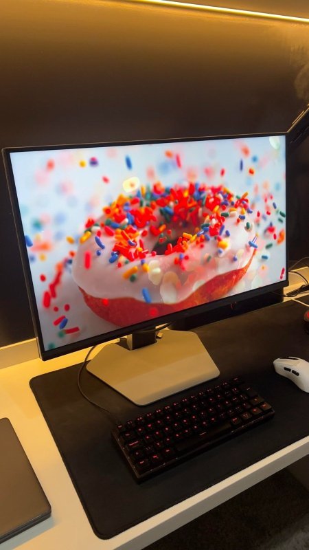 Monitor Gamer TCL QD MINI LED FHD 25" 300hz 25G64