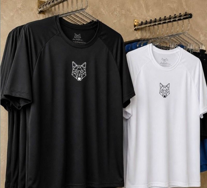 Kit 2 Camisetas Masculina Dry Alpha