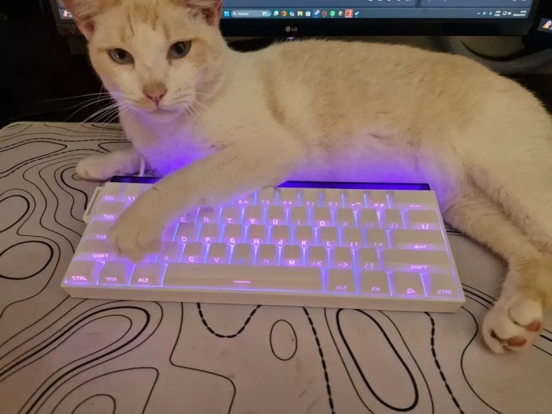 Teclado Magnético Akko Veekos Shine60 HE - 8000hz Rapid Trigger 0,01 mm