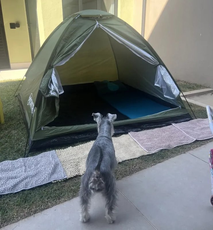 Barraca de Acampamento Camping Iglu para 4 Pessoas Impermeável Ontrek