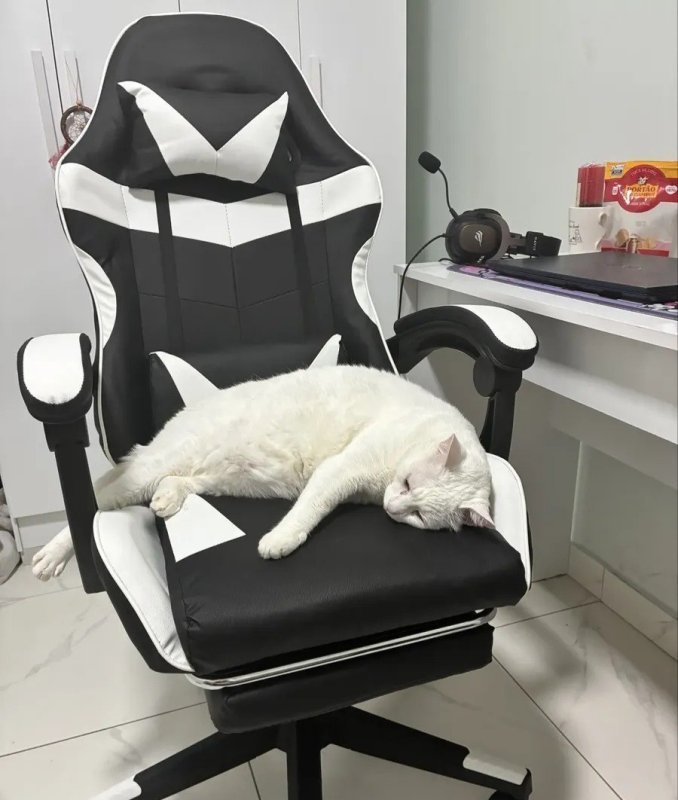 Cadeira Gamer Sweet Studio Ergonômica