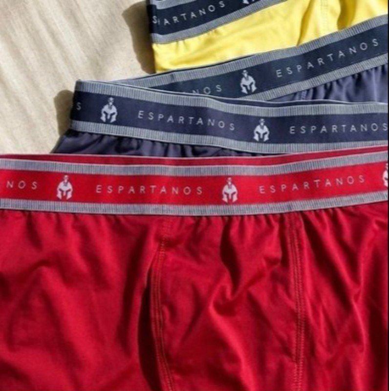 Kit Com 10 Cuecas Boxer Masculina Microfibra Original