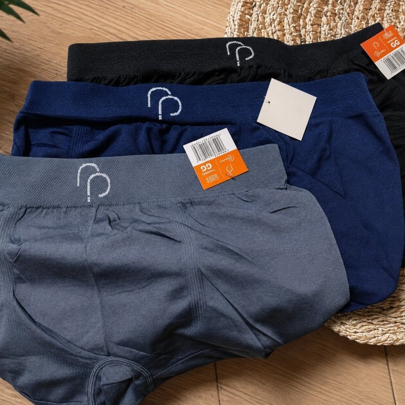 Kit 12 Cuecas Boxer Microfibra Masculino Rafa Parize Adulto (P ao GG)