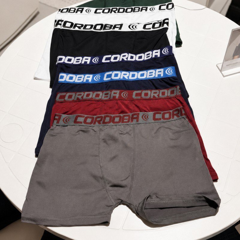 Kit 6 Cuecas Masculinas Boxer Variadas Alta Qualidade (P ao GG)