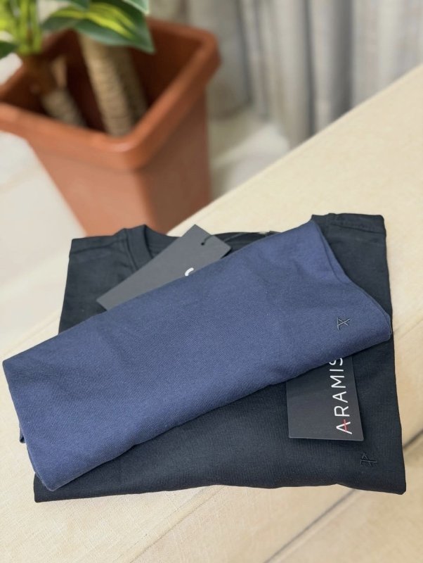 Camiseta Aramis Gola Careca Marinho