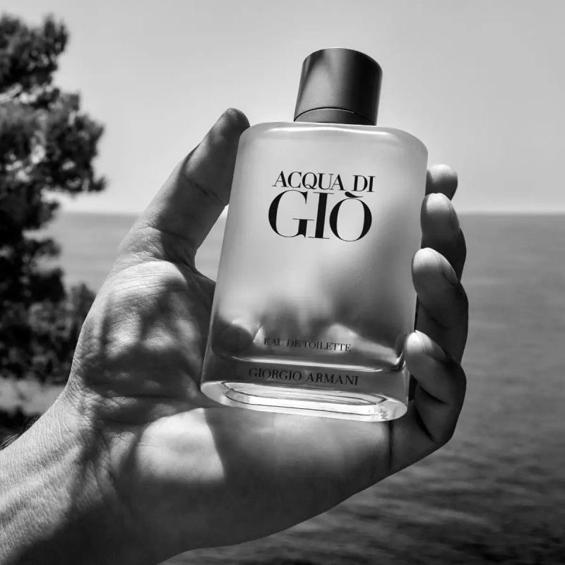 Armani Beauty Perfume Masculino Acqua Di Giò Eau de Toilette 200ml