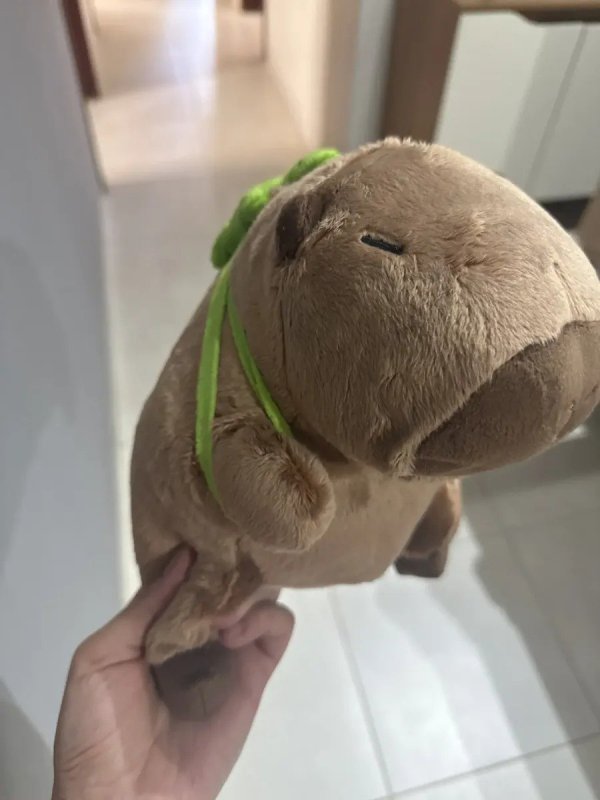 Capivara Filó Pelúcia Gigante Antialérgica