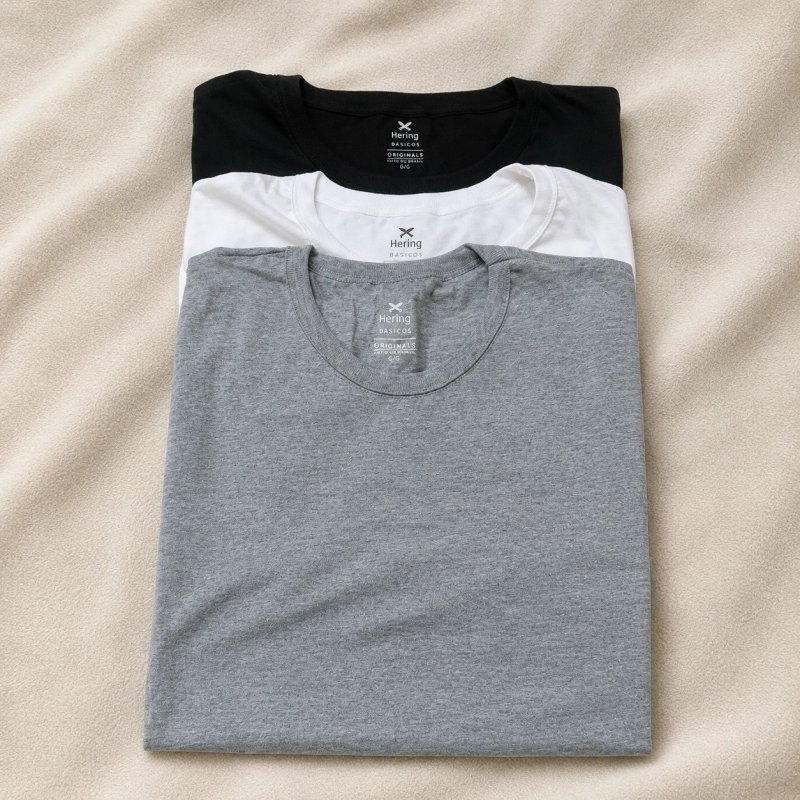 Kit 3 Camisetas Básicas Hering + Frete Grátis