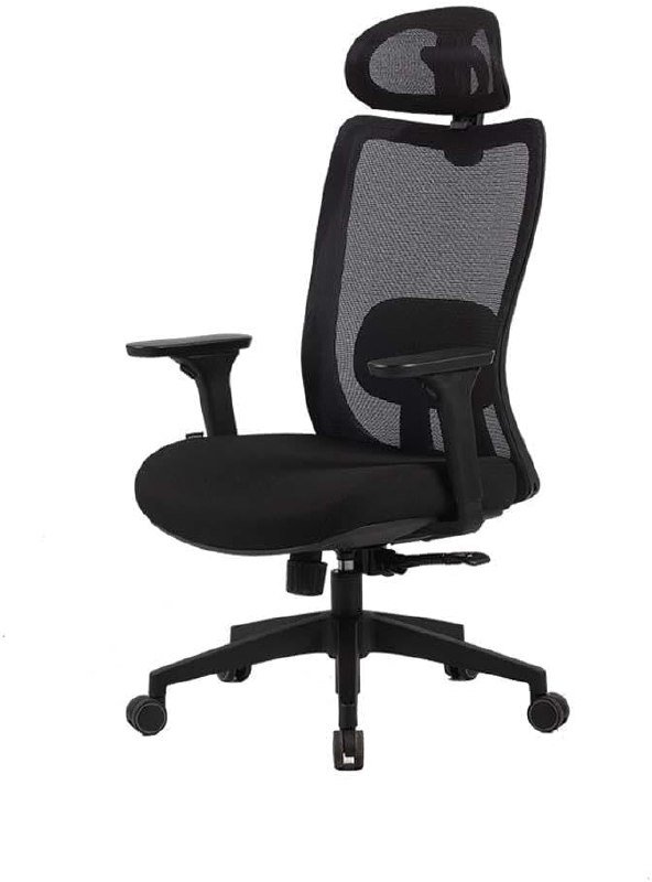 Elements Cadeira Ergonômica Astra Pro - Apoio Lombar e Cabeça - Preta