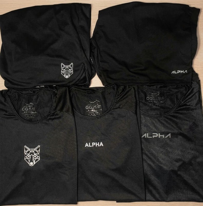 Kit 6 Peças Dry 3 Camisetas E 3 Bermudas Alpha