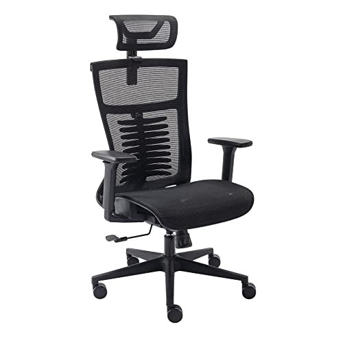 Elements Cadeira de Escritorio Ergonômica Vertta Pro com Apoio Lombar e Cabeça Respirável, Preta