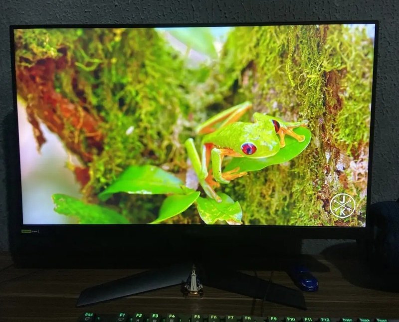 Monitor Gamer LG UltraGear 24" IPS Full HD 180Hz