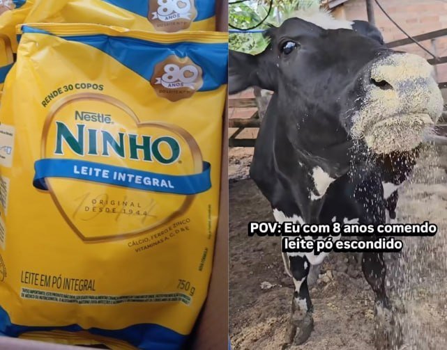 Leite Ninho Pó Integral Pacote 750g