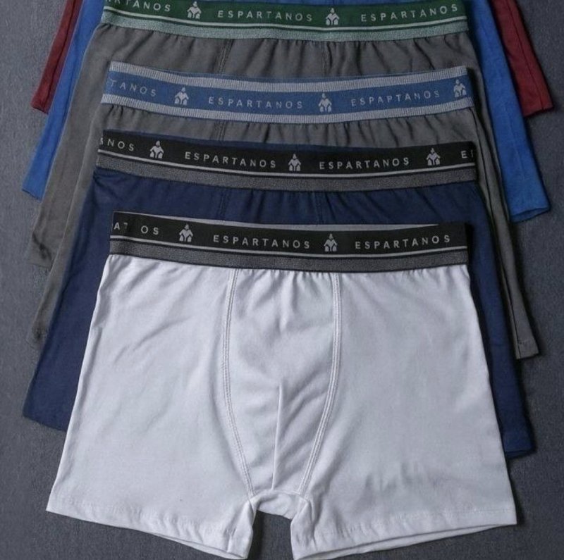 Kit Com 10 Cuecas Boxer Masculina Microfibra Original (P ao GG)