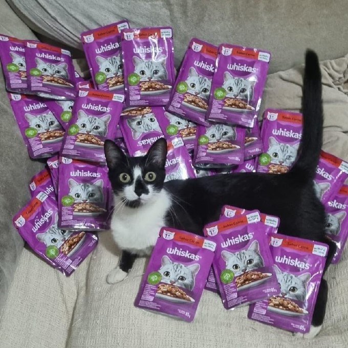 Pack Ração Úmida Whiskas Sachê Carne ao Molho para Gatos Adultos — 20 unidades + Frete Grátis