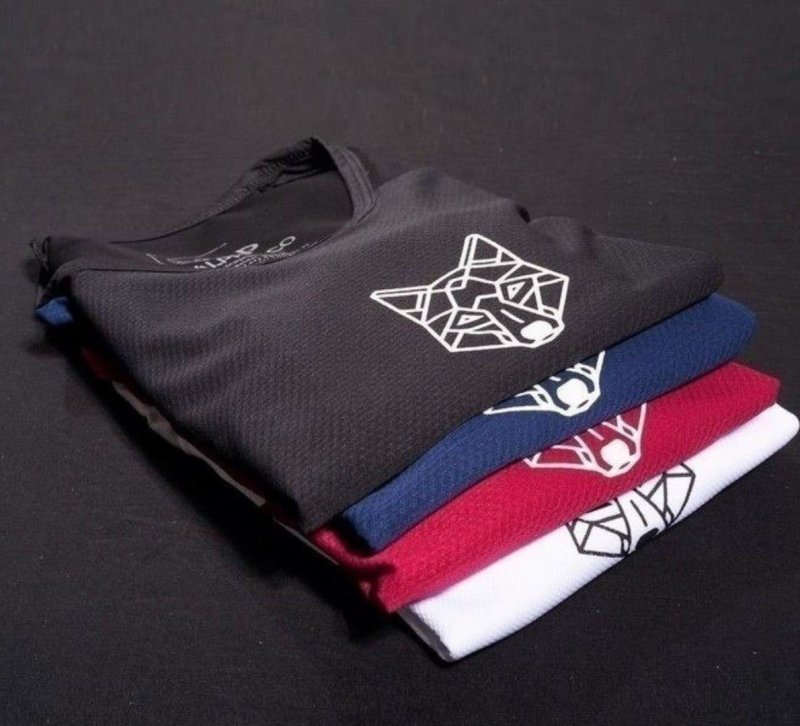 Kit 4 Camisetas Dry Lobo Alpha