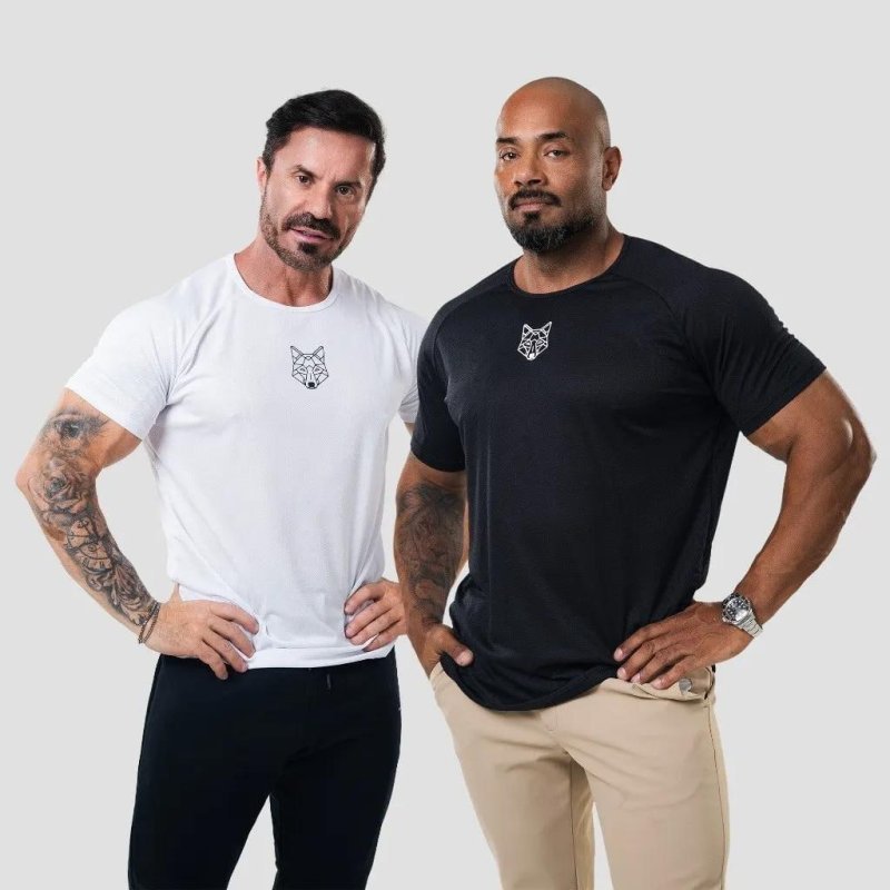 Kit 2 Camisetas Masculina Dry Fit Colmeia Alpha P M G Gg