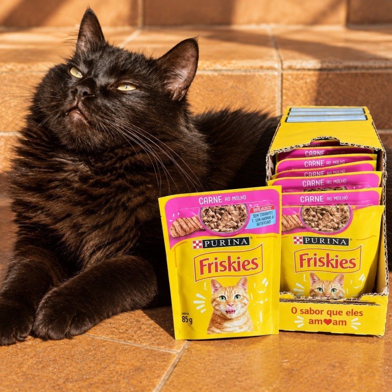 Ração Úmida Sachê Friskies Gato Adulto Carne ao Molho 85g kit c/ 15un + Frete Grátis