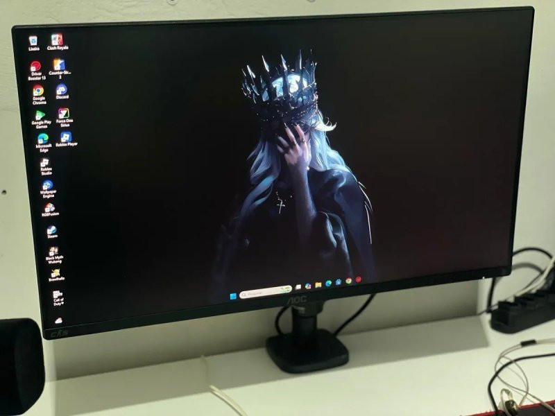 Monitor Gamer AOC AGON CS2 25" 310Hz 0.3ms - CS25G