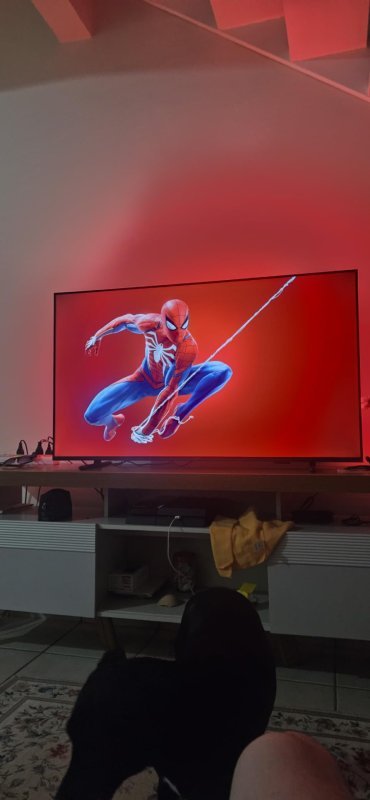 Smart TV LED 4K 60Hz Ambilight 4K PUG8100 50"