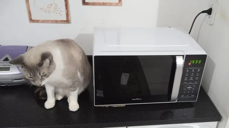 Micro-ondas 20L Britânia Pintura Limpa Fácil 1100W BMO23