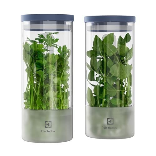 Electrolux Kit 2 Potes Herméticos de Vidro para Temperos Frescos e Hortaliças