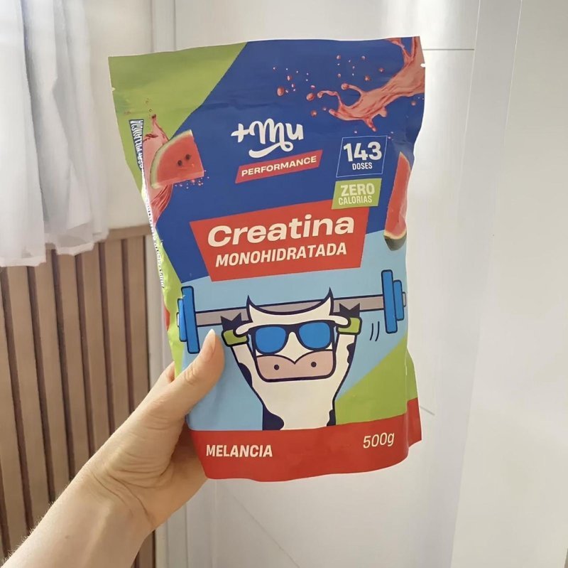 Refil Creatina Monohidratada Sem Sabor 100% Puro 500g