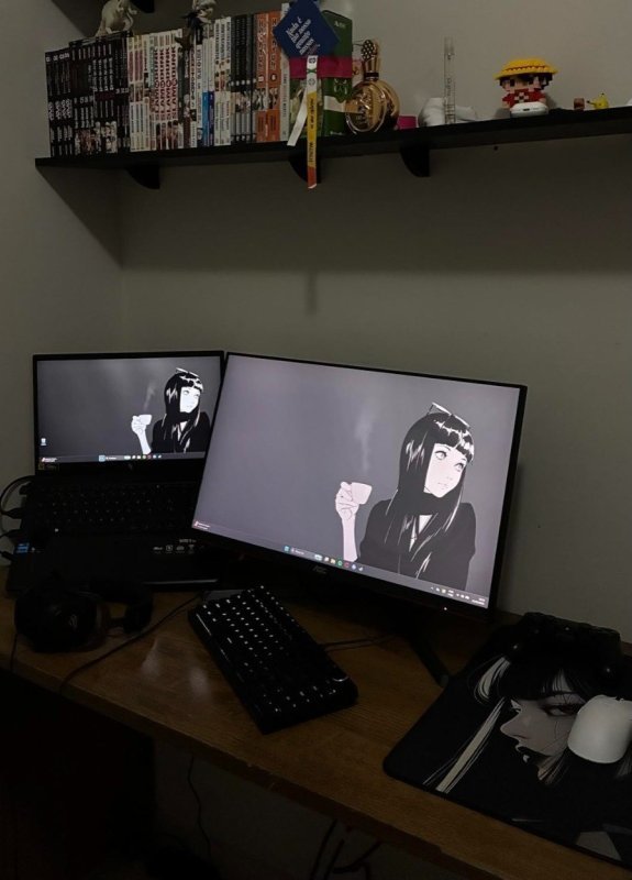 Monitor Gamer AOC Destiny 24,5 Polegadas 25G3ZM + Frete Grátis