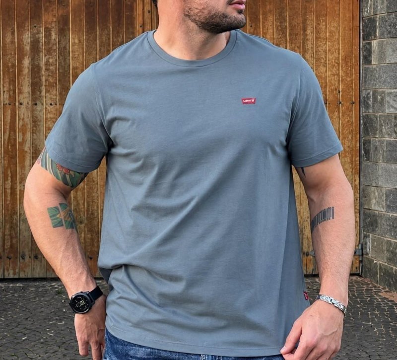 Camiseta Levis Standard Classic Printed Housemark Azul Médio