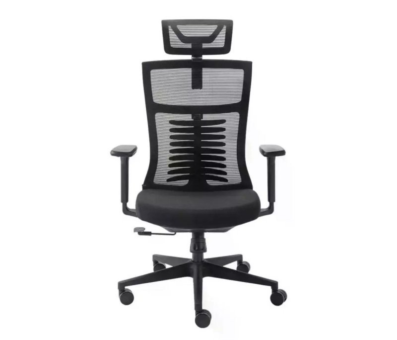 Cadeira Ergonômica Elements Vertta - Preta