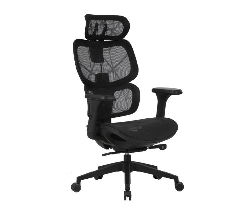Cadeira Ergonômica Elements Siggy - Preta