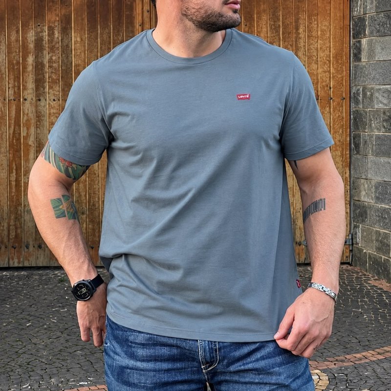Camiseta Levis Standard Classic (P ao GGG)