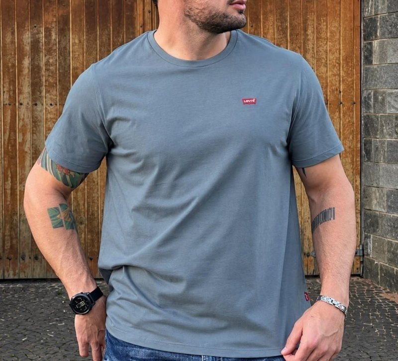 Camiseta Levis Standard Classic Printed Housemark Azul Médio