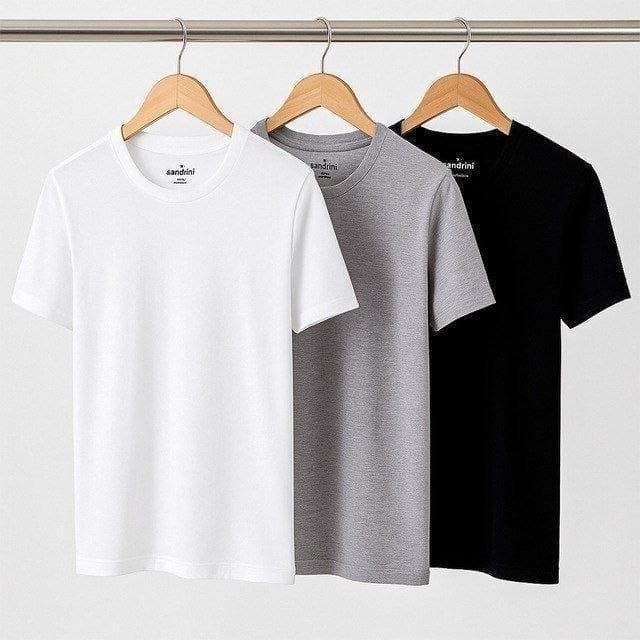 Kit 3 Camisetas Algodão Dia Dia Sandrini Básica