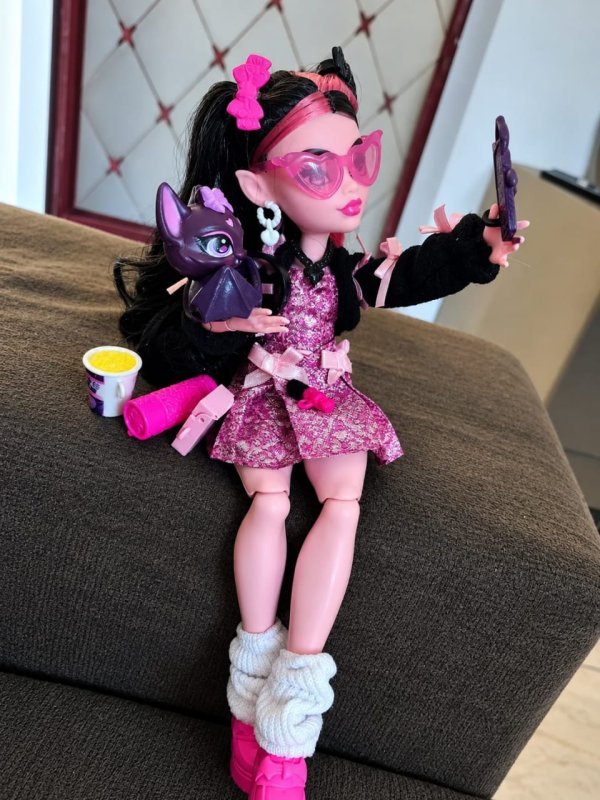 Monster High Draculaura com pet Count Fabulous