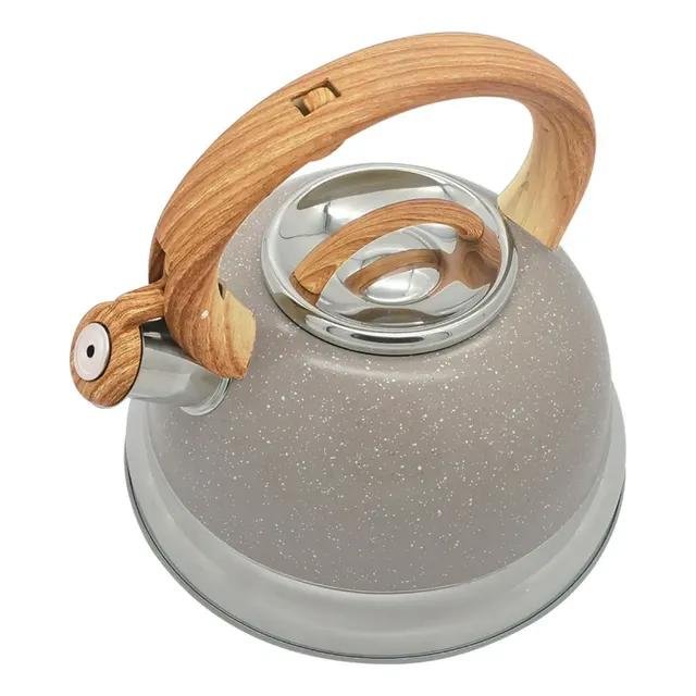 Chaleira Indução Roma Inox Verde 2,7l Com Apito Brinox