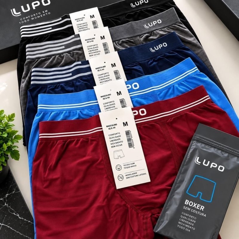 Kit 6 Cuecas Lupo Boxer Box Sem Costura Basic Microfibra (P ao GG)