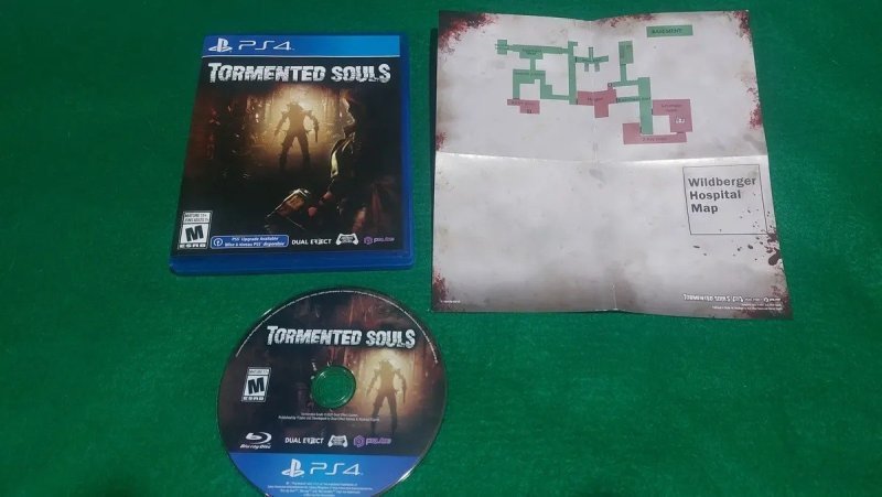 Tormented Souls Standard Edition (Físico) + Frete Grátis