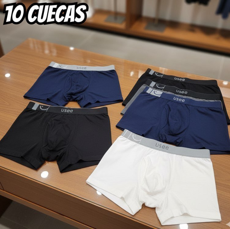 Kit 10 Cuecas Boxer Microfibra Usee Brasil