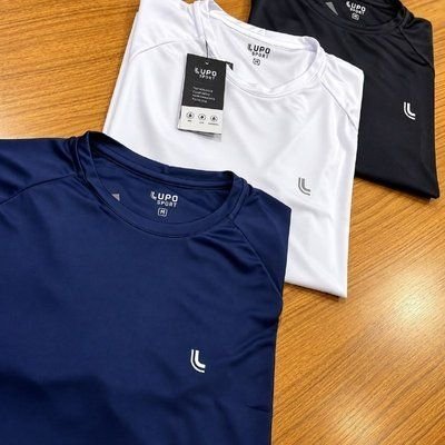 Camiseta Esportiva Lupo Masculina Dry (M ao GG)