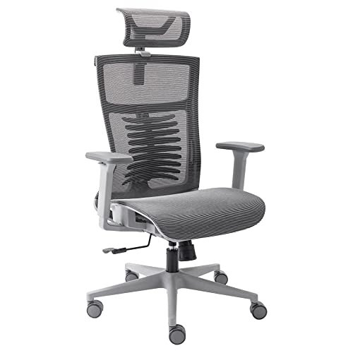 Elements Cadeira de Escritorio Ergonômica Vertta Pro com Apoio Lombar e Cabeça Respirável, Cinza