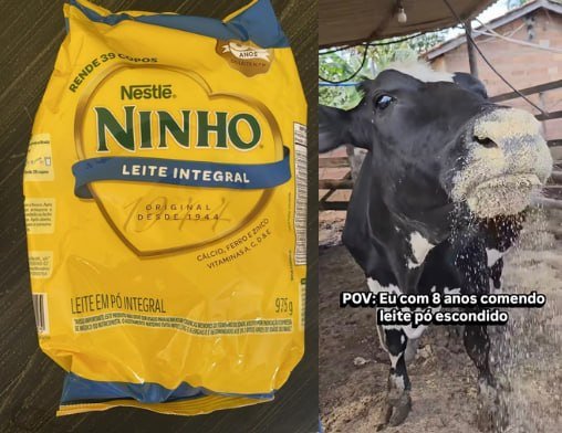 Leite Ninho Pó Integral Pacote 975g