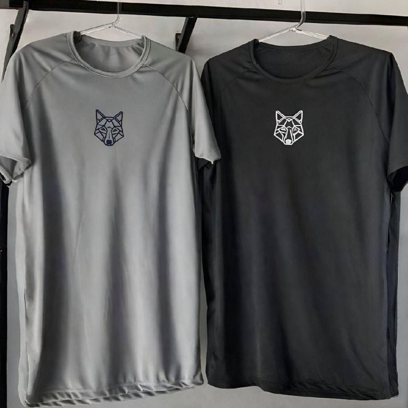 Kit 2 Camisetas Masculina Dry Alpha (P ao XGG)